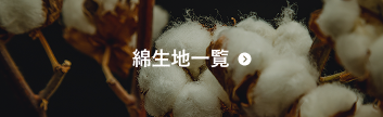 綿生地一覧