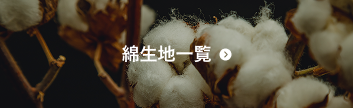 布生地プリント｜綿生地一覧