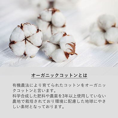 オリジナルポーチの商品-TF-0011-商品画像-4